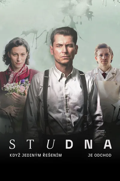 Studna poster