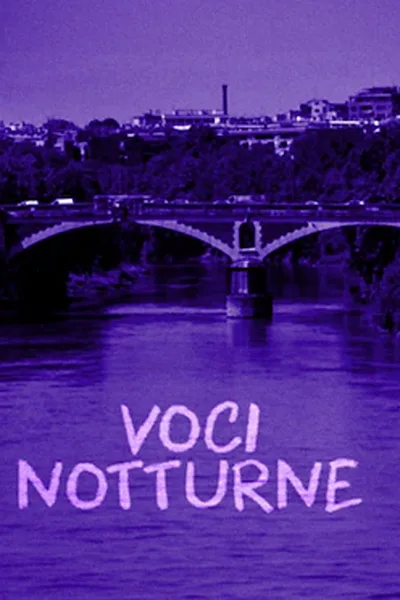 Voci notturne poster