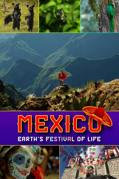 Mexico: Earth's Festival of Life poster