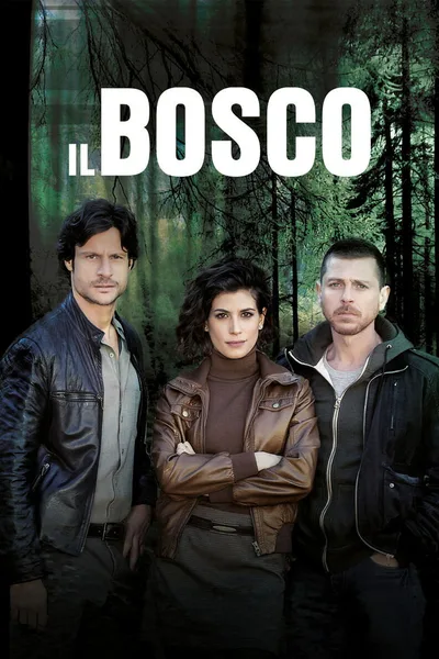 Il bosco poster
