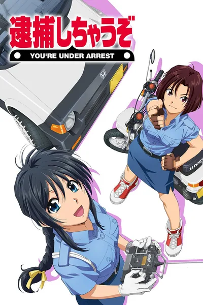 You're Under Arrest! poster