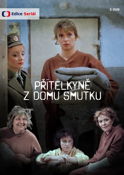 Prítelkyne z domu smutku poster