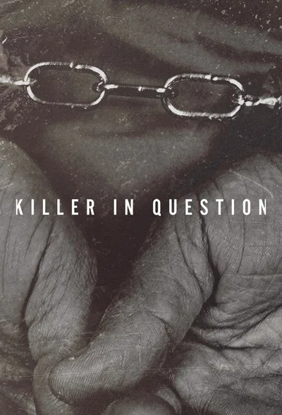 Killer in Question poster