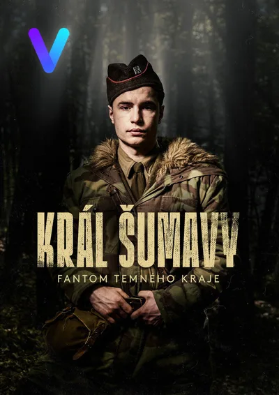 Král Sumavy: Agent chodec poster