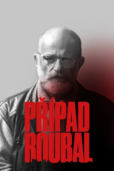 Prípad Roubal poster