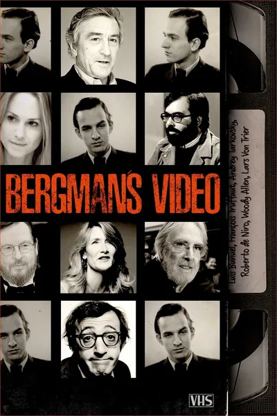 Bergmans video poster