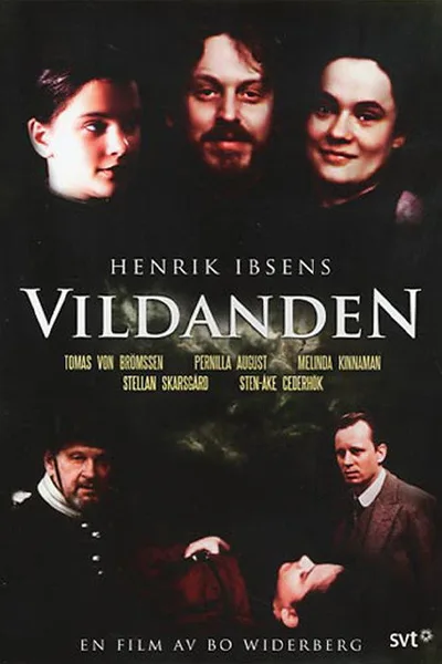 The Wild Duck poster