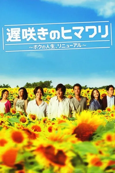Late Blooming Sunflower ~My Life, Renewal~ poster