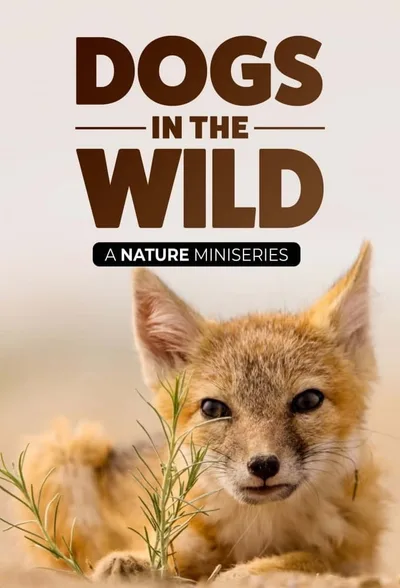 Dogs in the Wild poster