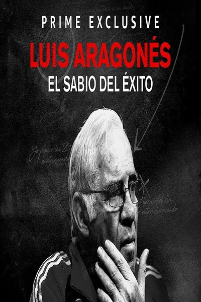 Luis, el sabio del éxito poster