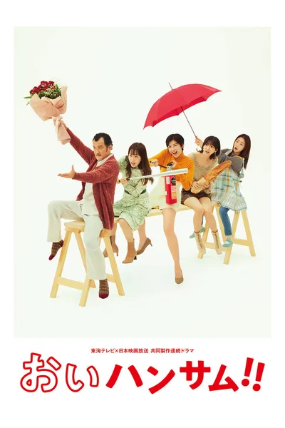 Hey Handsome! poster