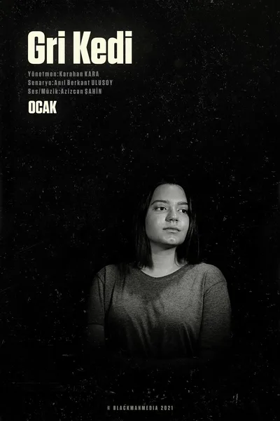 Gri Kedi poster