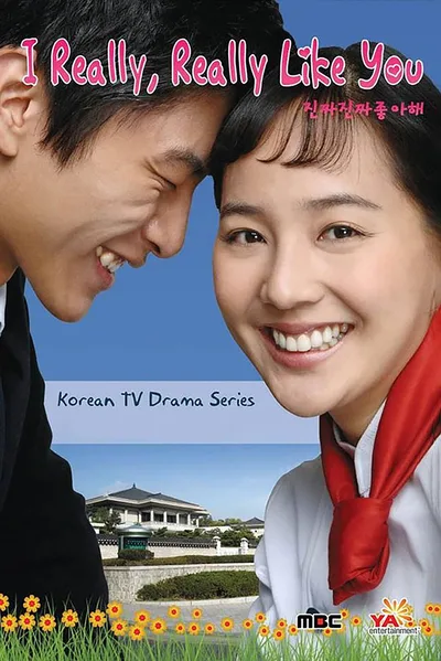 I Really, Really Like You poster
