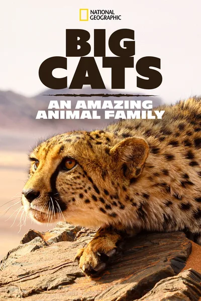 Cats: An Amazing Animal Family poster