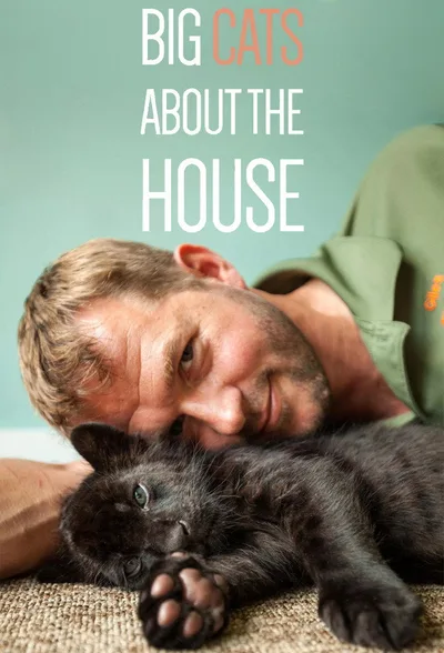 Big Cats About the House poster