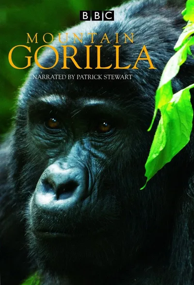 BBC Mountain Gorilla poster