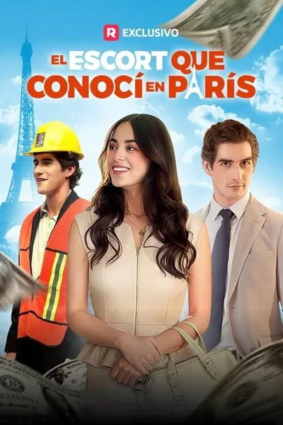 The Call Boy I Met in Paris poster