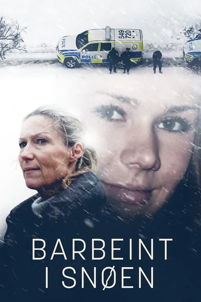 Barbeint i snøen poster