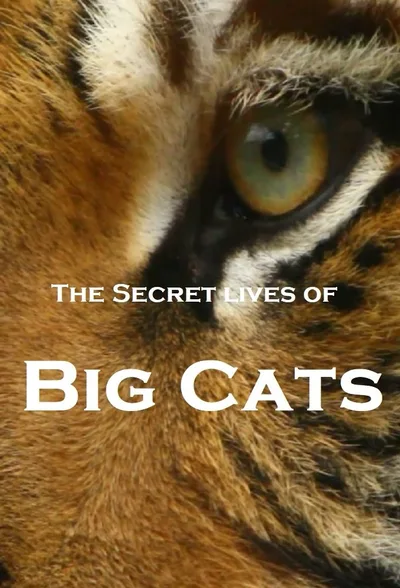 The Secret Lives of Big Cats poster