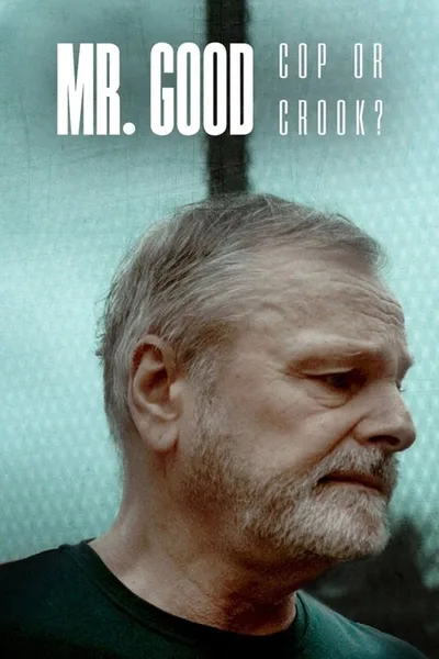Mr. Good: Cop or Crook? poster