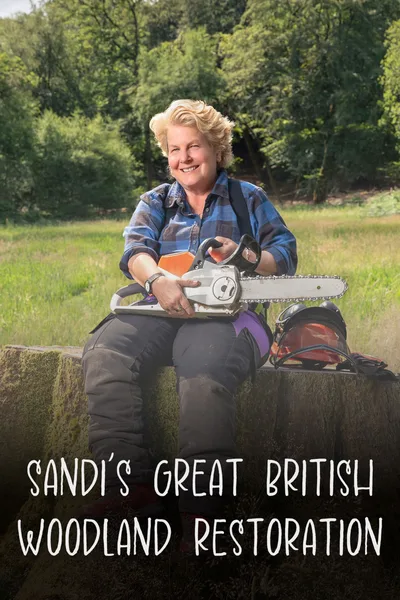 Sandi's Wood poster