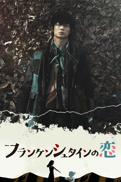 Frankenstein in Love poster