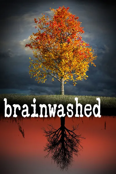 Brainwashed poster