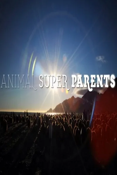 Animal Super Parents poster