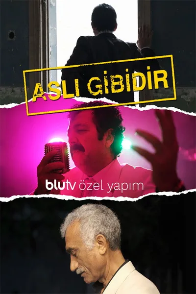 Asli Gibidir poster