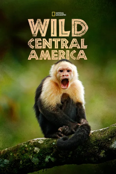 Wild Central America poster