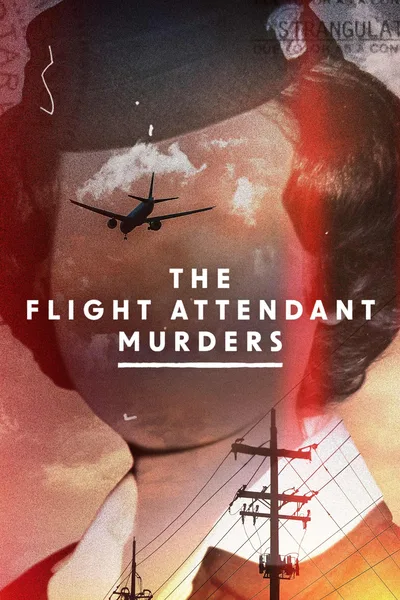 The Flight Attendant Murders poster