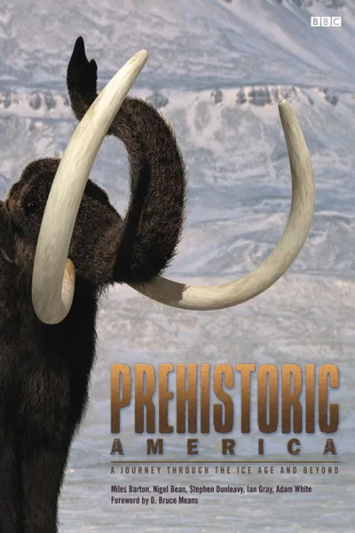 Wild New World poster