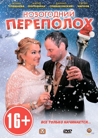 Novogodniy perepolokh poster