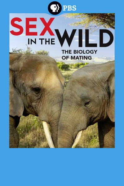 Born in the Wild poster