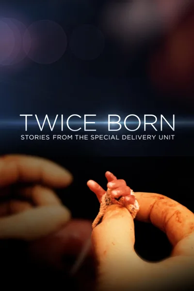 Twice Born: Stories from the Special Delivery Unit poster
