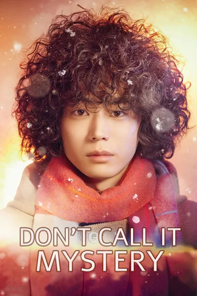 Don't Call it Mystery poster