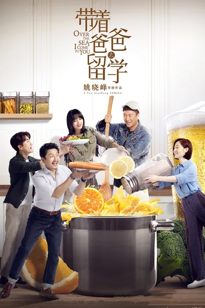 Liu xue sheng poster