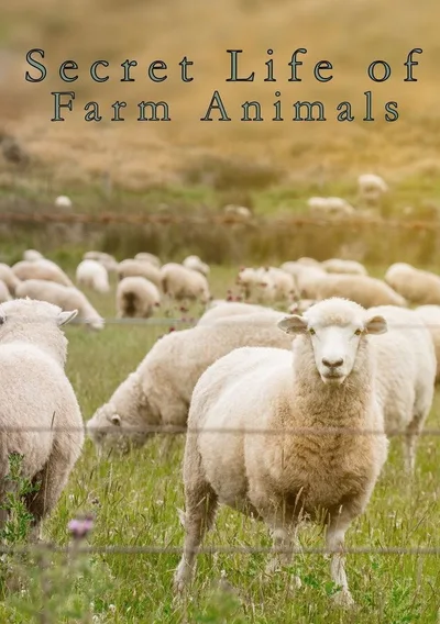 Secret Life of Farm Animals poster