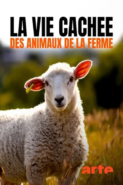 Wild Tales from the Farm poster