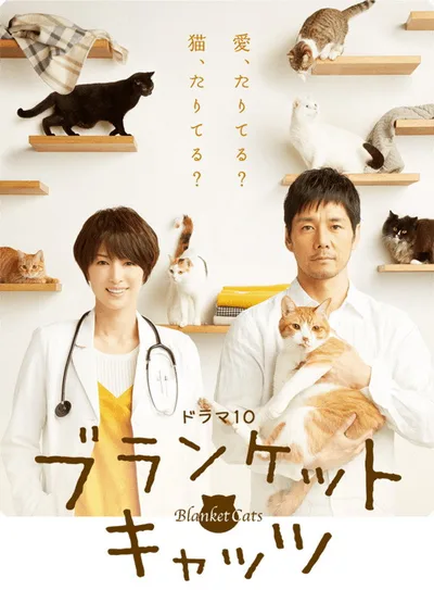 Blanket Cats poster