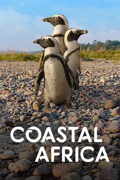 Coastal Africa poster