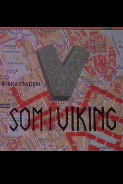 V som i viking poster