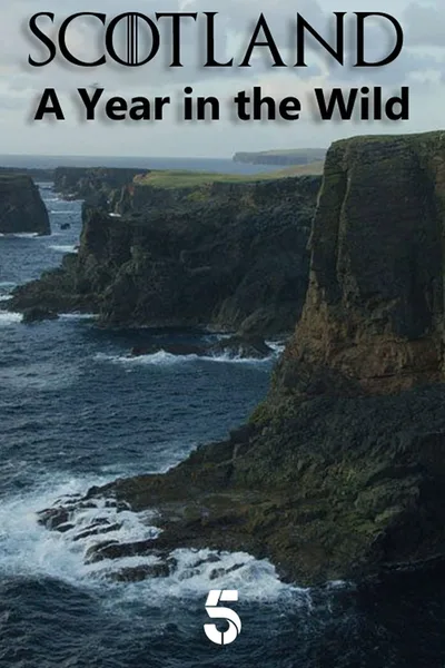 Scotland: A Wild Year poster