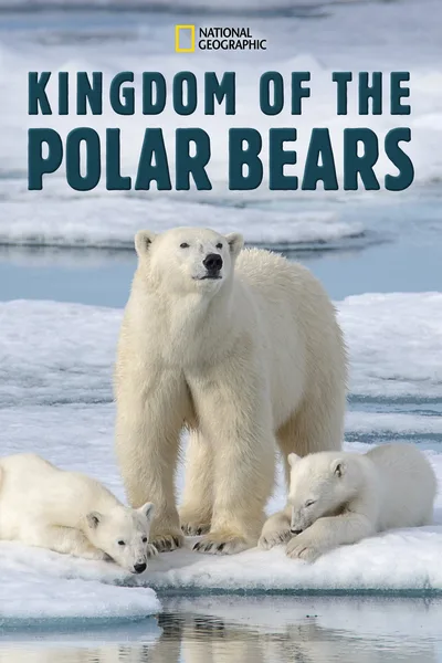 March of the Polar Bears poster