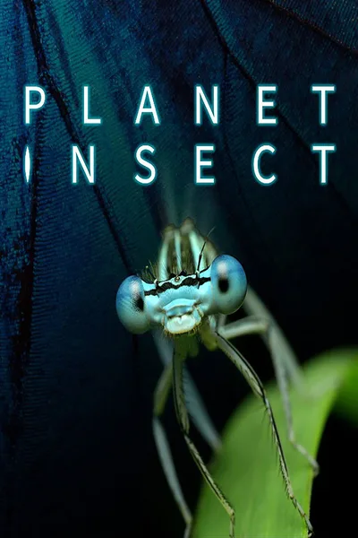 Planet Insect poster