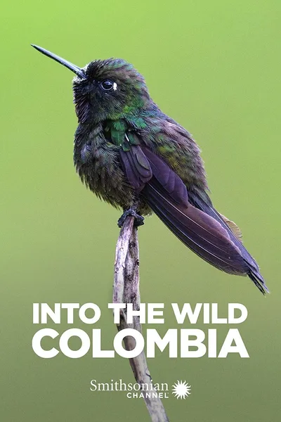 Into the Wild: Colombia poster