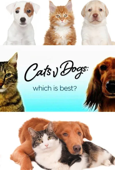 Cats v Dogs: Which Is Best? poster