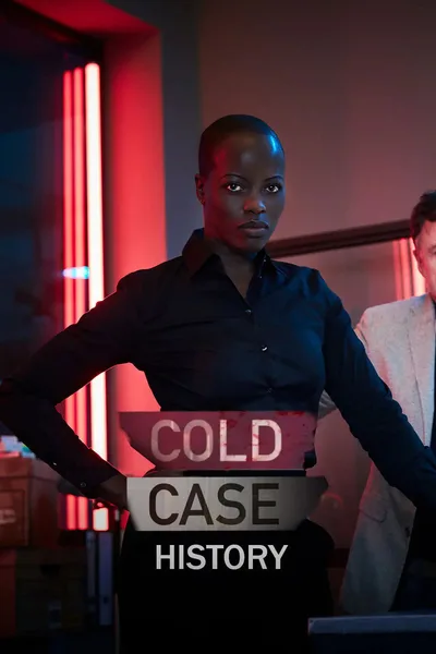 Cold Case poster