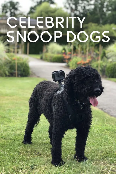 Celebrity Snoop Dogs poster