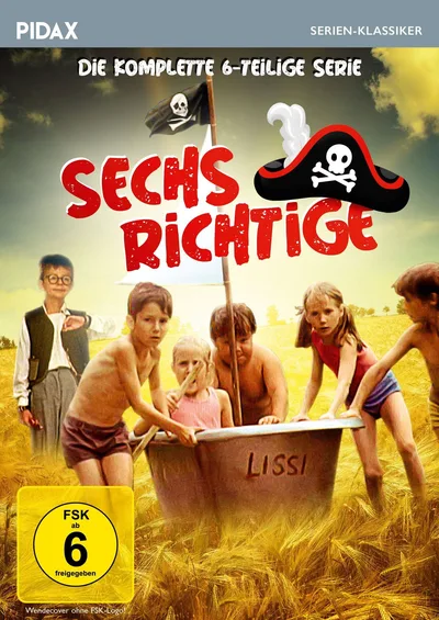 Správná sestka poster